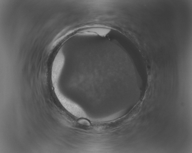 X0000076410295200611031755