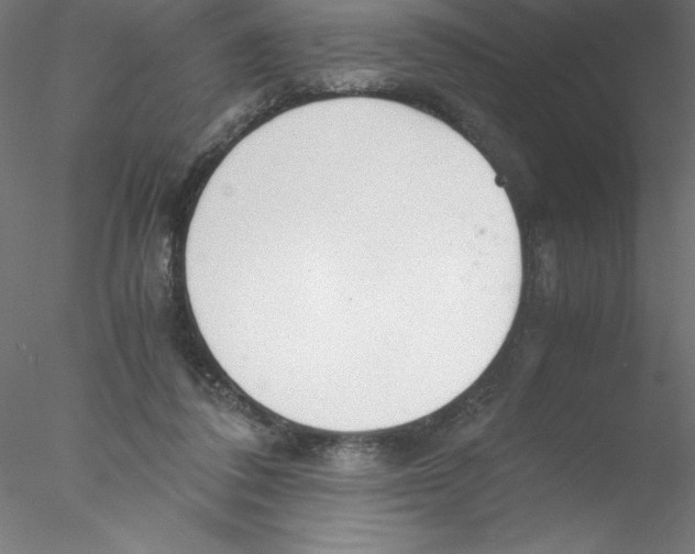 X0000076410308200611031754