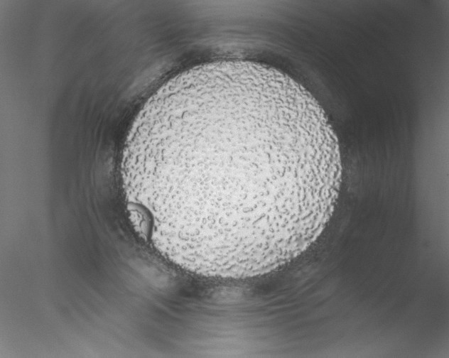 X0000076410314200611031754