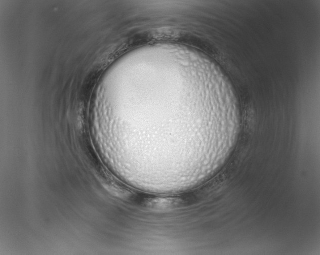 X0000076410323200611031754