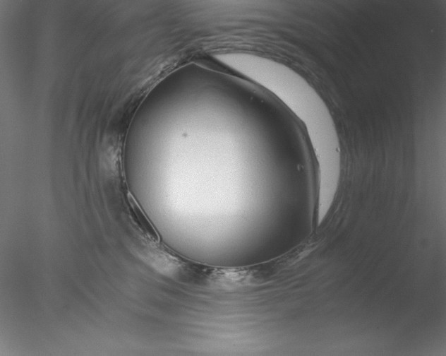 X0000076410329200611031754