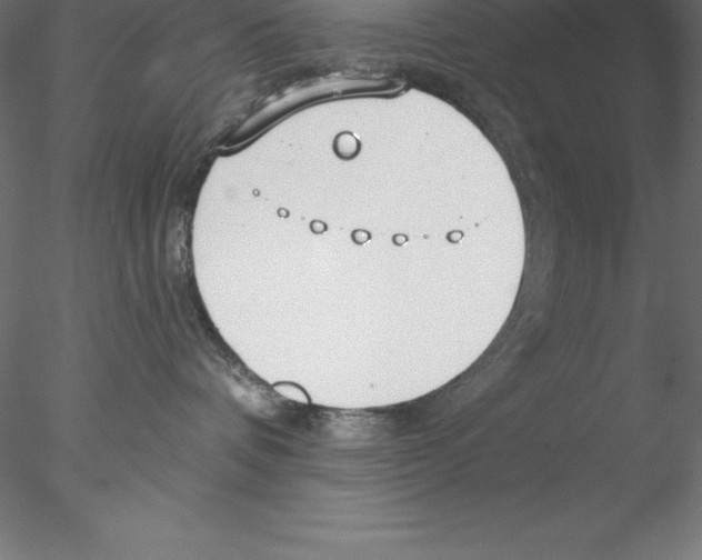 X0000076410336200611031754