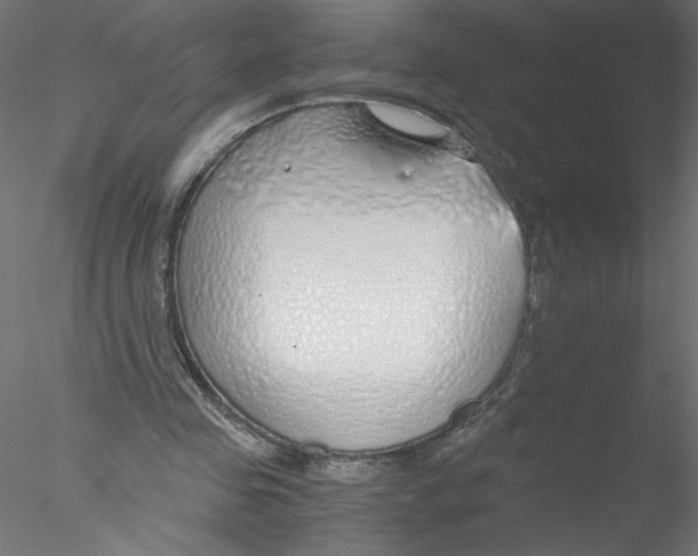 X0000076410341200611031753