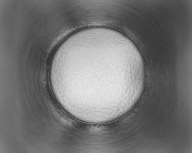 X0000076410346200611031753