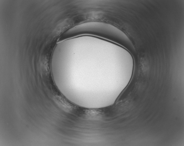 X0000076410380200611031754
