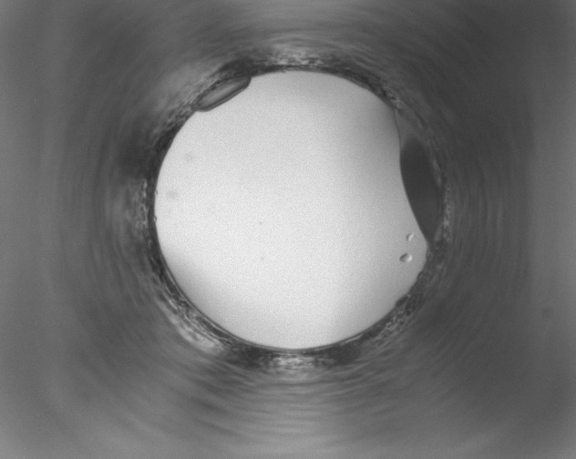 X0000076410413200611031753