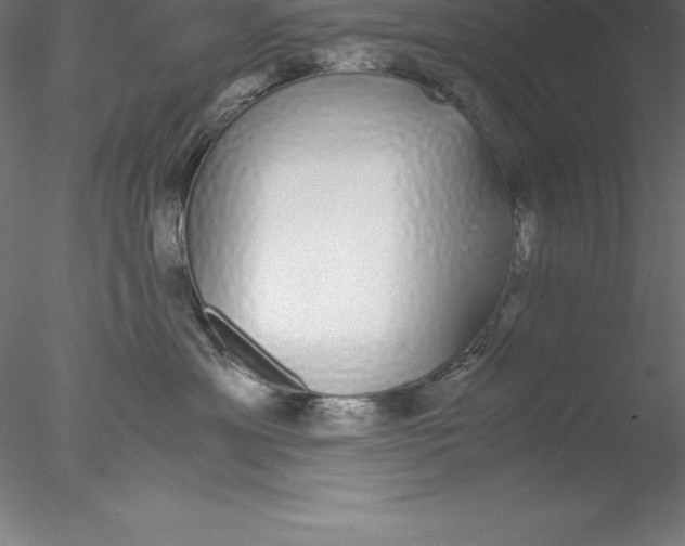 X0000076410429200611031752