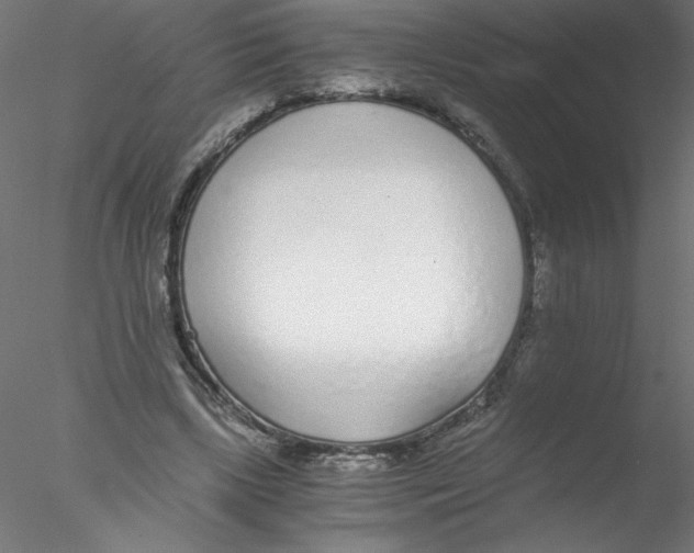 X0000076410443200611031752