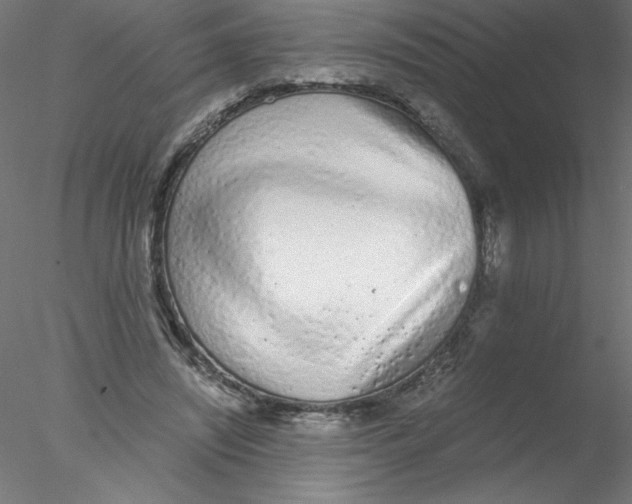 X0000076410444200611031752