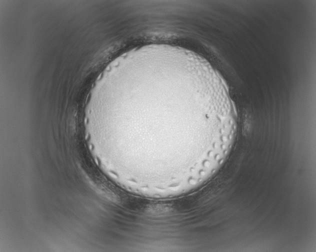 X0000076410451200611031752