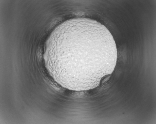 X0000076410479200611031752