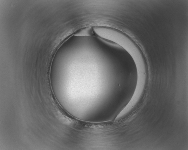 X0000076410481200611031751