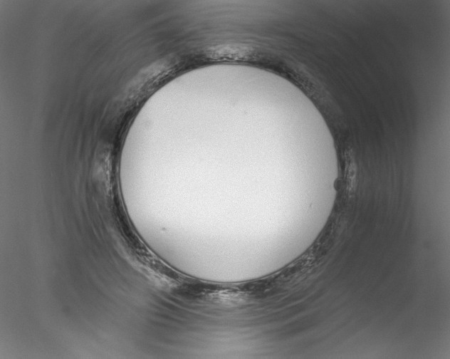 X0000076410498200611031751