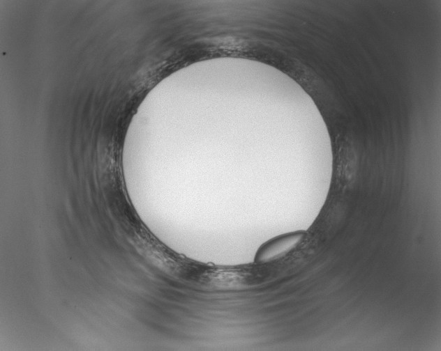 X0000076410518200611031751