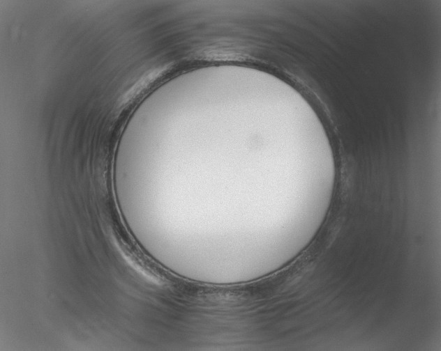 X0000076410533200611031750