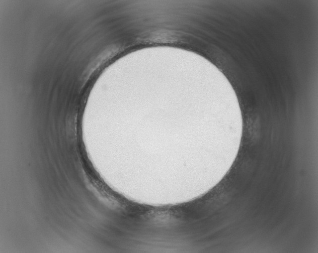 X0000076410534200611031750