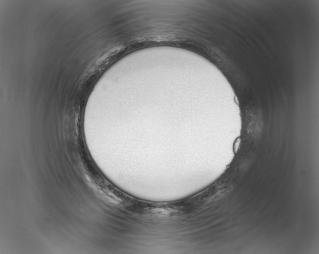 X0000076410542200611031750