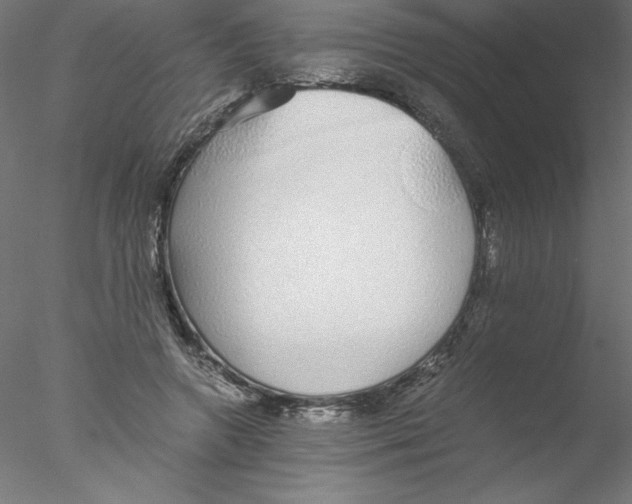 X0000076410546200611031750