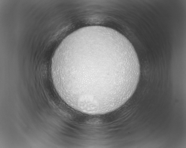 X0000076410551200611031750