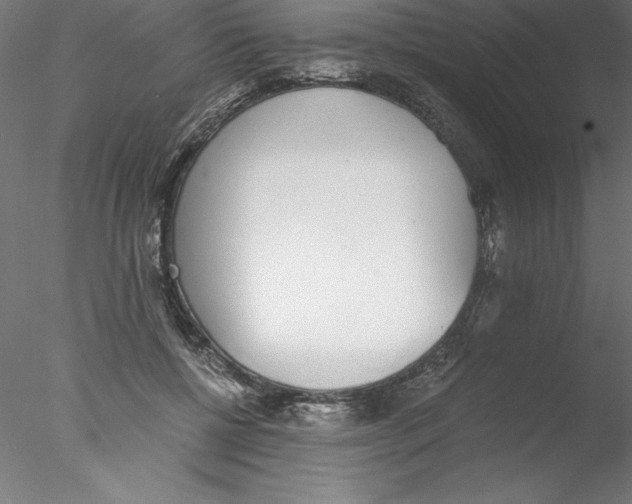 X0000076410552200611031750