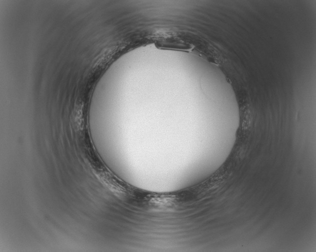 X0000076410560200611031750