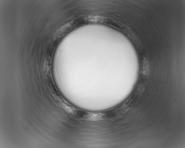 X0000076410569200611031750