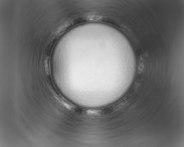 X0000076410573200611031751