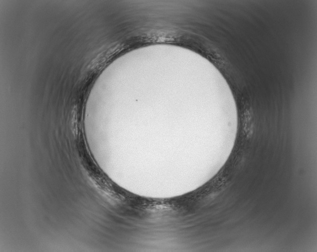 X0000076410594200611031750