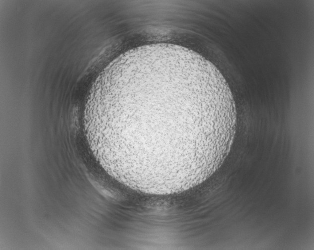 X0000076410598200611031749
