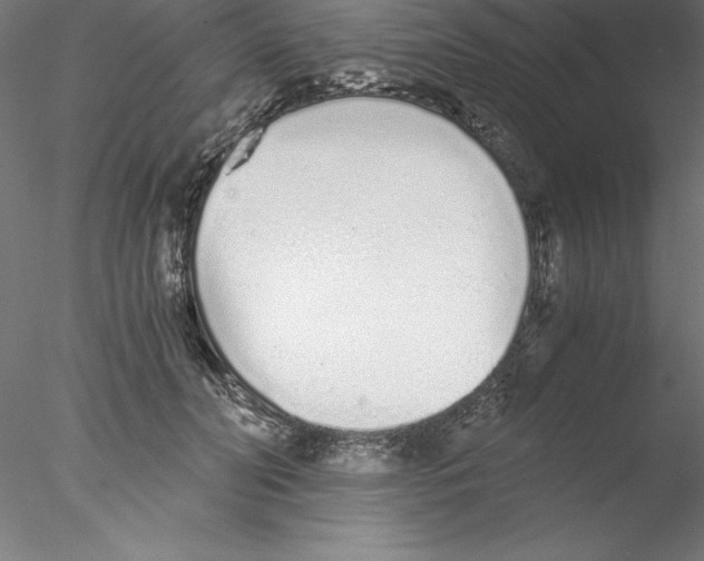 X0000076410606200611031749