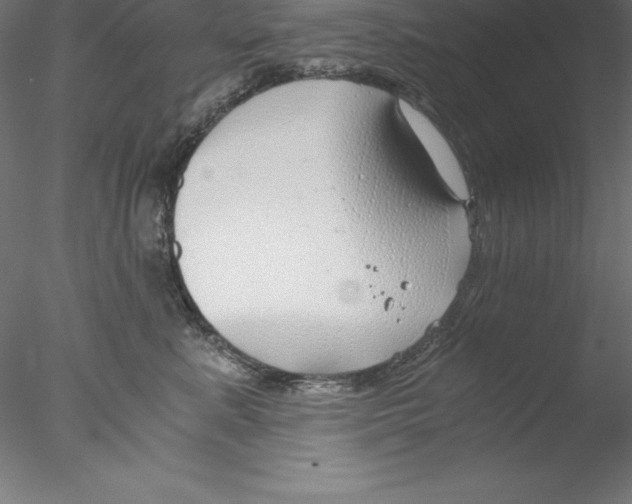 X0000076410619200611031749