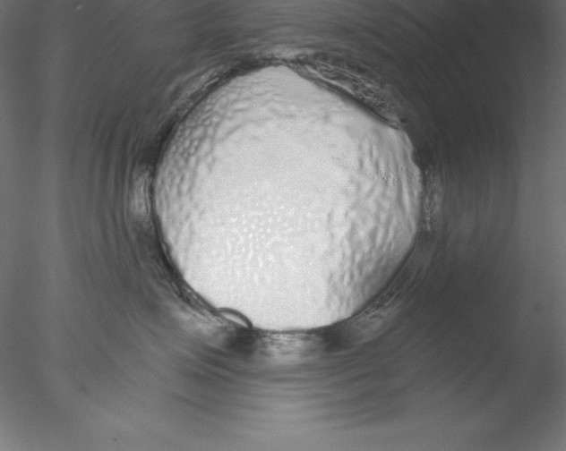 X0000076410623200611031749