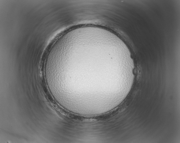 X0000076410628200611031748