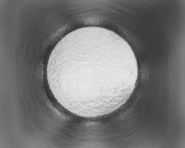 X0000076410637200611031748