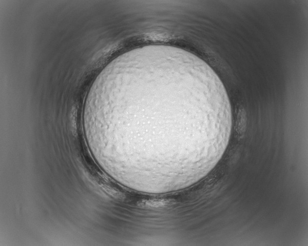 X0000076410639200611031748