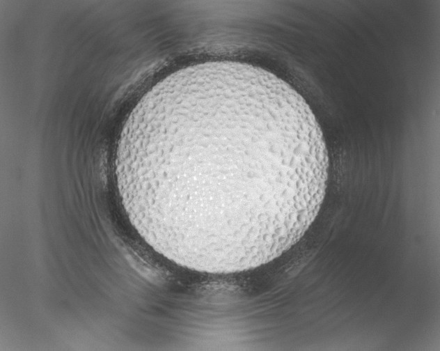 X0000076410644200611031749