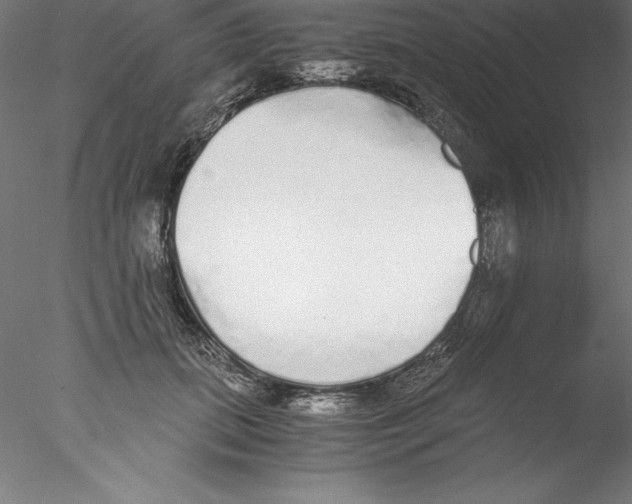 X0000076410655200611031749