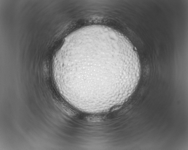 X0000076410661200611031749