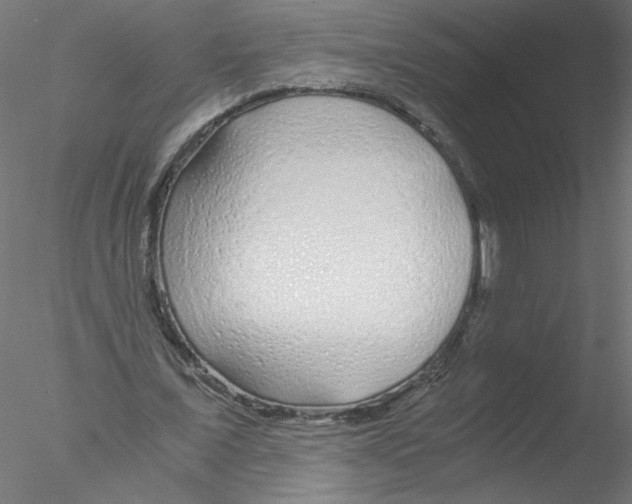 X0000076410675200611031748