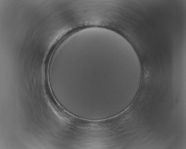 X0000076410678200611031748