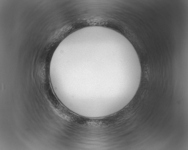X0000076410690200611031748