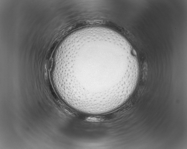 X0000076410699200611031748
