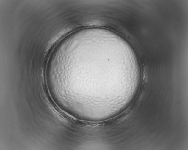 X0000076410725200611031747