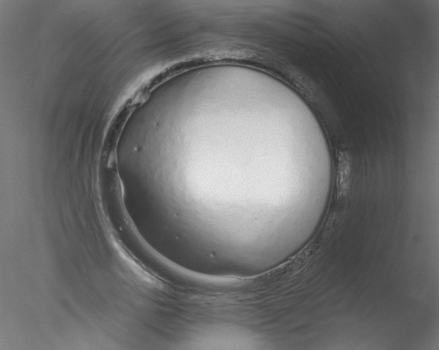 X0000076410726200611031747
