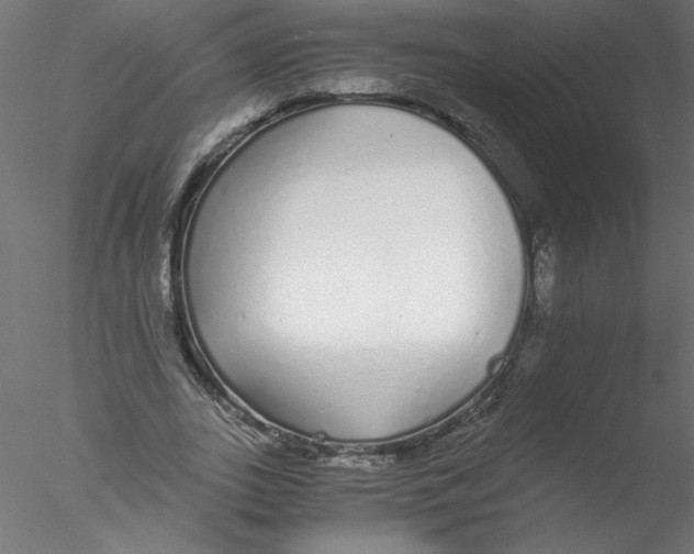 X0000076410727200611031747
