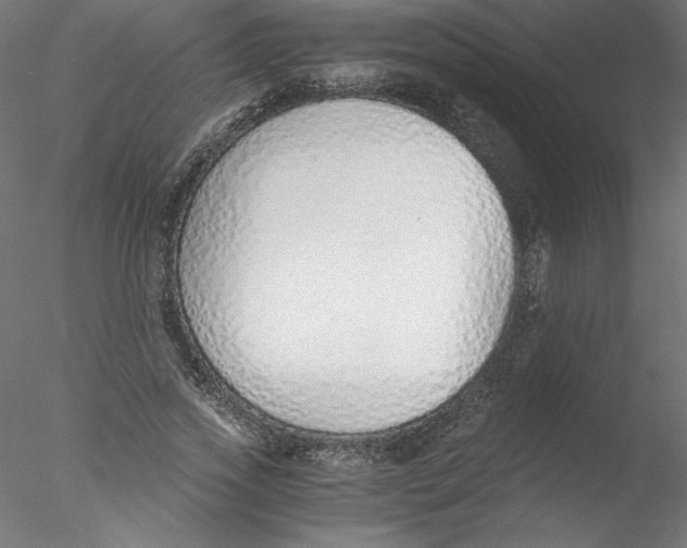X0000076410733200611031747