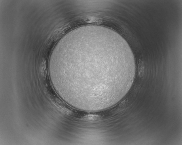 X0000076410748200611031747