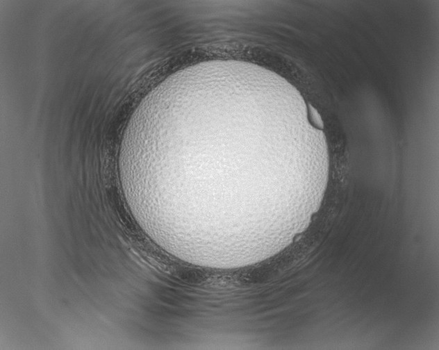 X0000076410749200611031747