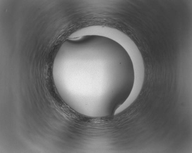 X0000076410750200611031747