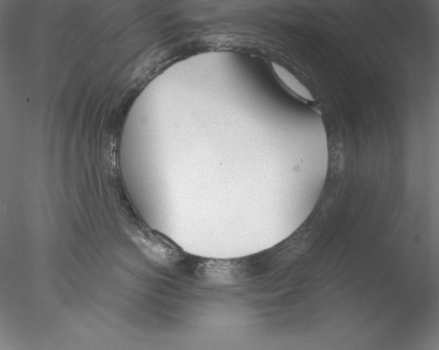 X0000076410766200611031747